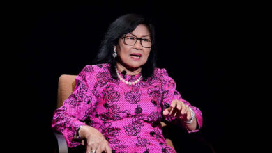 Investors want our neighbours and not us, says Rafidah