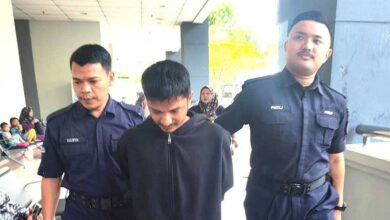 Jurukimpal didenda RM3,500 ceroboh kebun, curi nangka