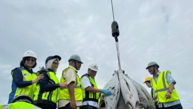 Bekalan cukup, tapi mungkin ada makanan naik harga