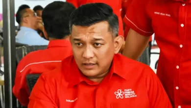 No need for Bersatu associate wing to form new party, says vice-chief