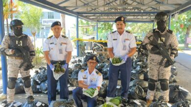 Penyeludupan ketum dijangka kembali rancak