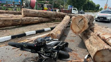 Pemilik lori sebabkan gadis parah dihempap balak didenda RM10,000