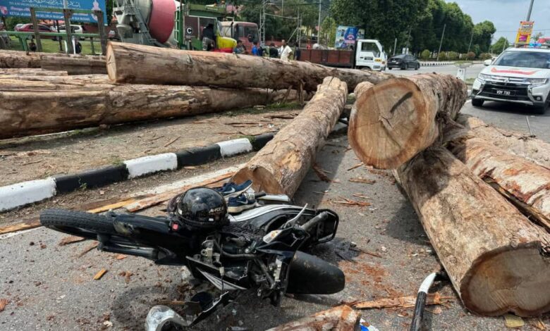 Pemilik lori sebabkan gadis parah dihempap balak didenda RM10,000