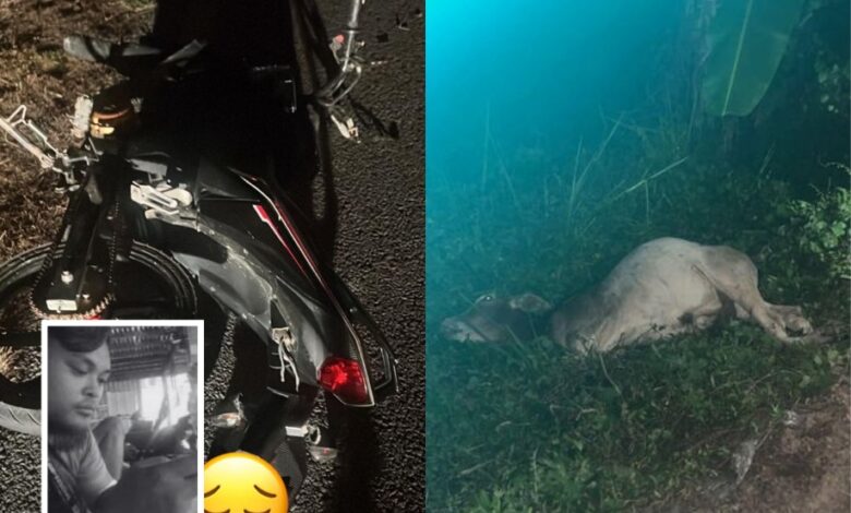 ‘Jangan pula tidak mengaku itu lembu kau’