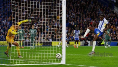 Gol Welbeck lengkapkan kebangkitan Brighton