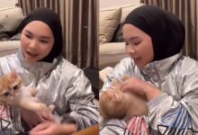 Gelagat Aina Abdul Dodoikan Kucing Sambil Payung lagu Siti Nurhaliza [VIDEO]