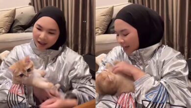 Gelagat Aina Abdul Dodoikan Kucing Sambil Payung lagu Siti Nurhaliza [VIDEO]