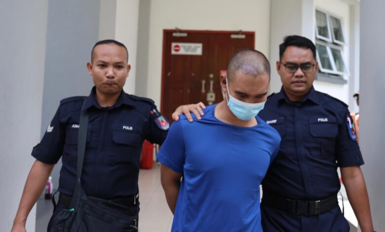 Laporan kimia belum diperoleh, kes bunuh Nur Farah Kartini tangguh 10 Disember