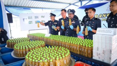 Proses ketum di sebalik kedai landskap