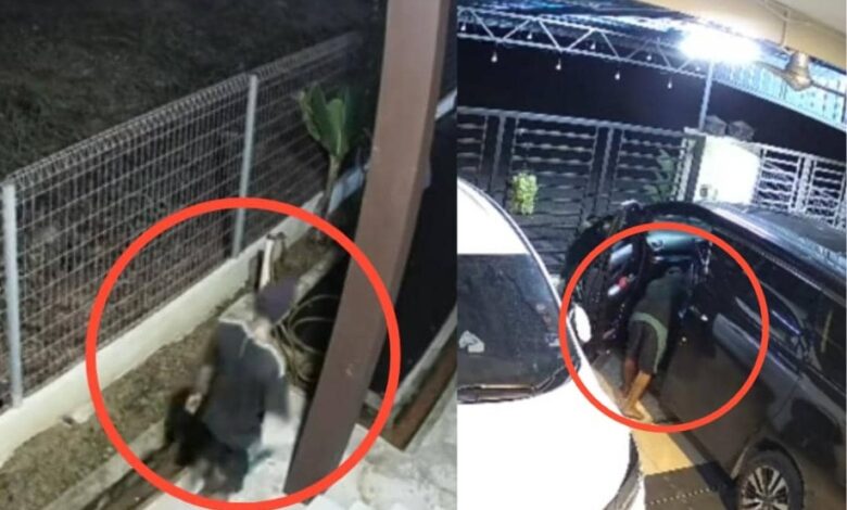 [VIDEO] Macam lipas kudung lari bila tuan rumah sedar