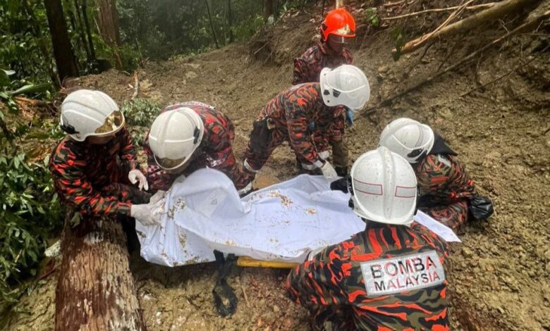 Lelaki Indonesia maut ditimpa pokok