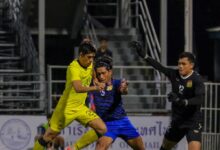 Harimau Malaya benam Laos