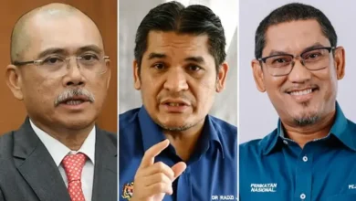 Kiandee, Radzi, Faizal elected Bersatu vice-presidents