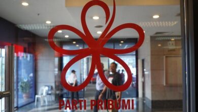 Bersatu elections in Jeli, Machang, and Gua Musang suspended over division statuses, polls to be held in December