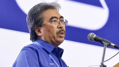 BN must be rid of 4 ailments, says Johari