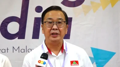 We’re just trying to strengthen PN, says Gerakan youth chief