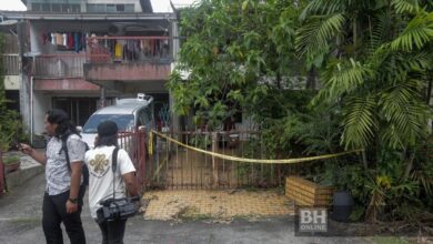 Kes bunuh ibu: Polis sahkan tahan anak lelaki mangsa