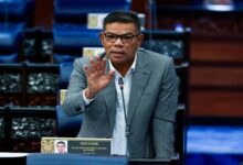 Titah Adendum Apa Naratif Yang Saifuddin Cuba Bawa Dalam Dewan Rakyat