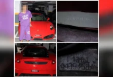 Anak penyanyi antara 6 ditahan disyaki terbabit kes curi Ferrari