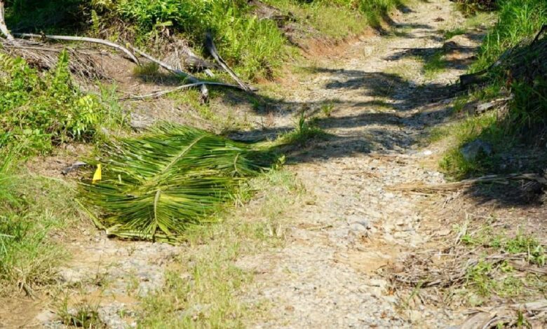 Lelaki maut dibunuh, isteri mangsa antara 4 suspek ditahan
