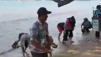 Penduduk serbu pantai, tangkap ikan naik ke darat