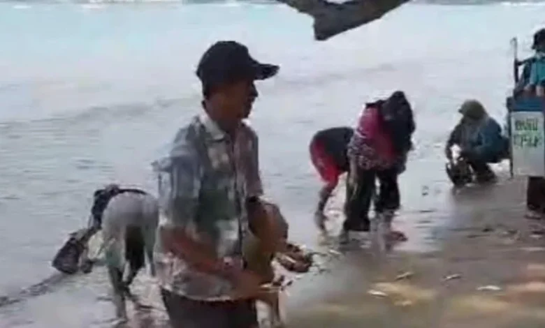 Penduduk serbu pantai, tangkap ikan naik ke darat