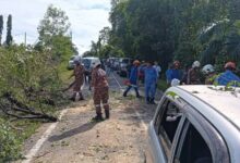 Pokok tumbang hempap kereta, 4 penumpang cedera