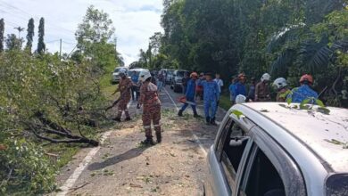 Pokok tumbang hempap kereta, 4 penumpang cedera