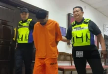 Kes bunuh perlu wang tengok Harimau Malaya di Kemboja: Reman suspek dilanjut 7 hari