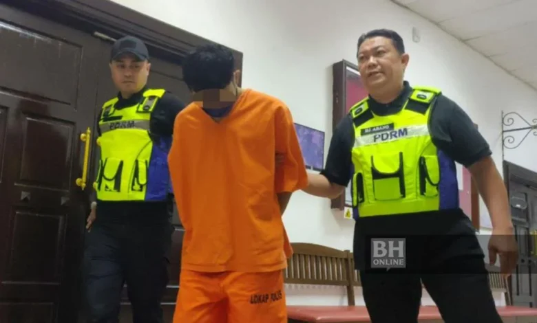 Kes bunuh perlu wang tengok Harimau Malaya di Kemboja: Reman suspek dilanjut 7 hari