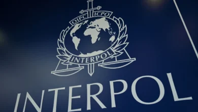 Interpol lancar alat baharu jejak aset penjenayah sedunia