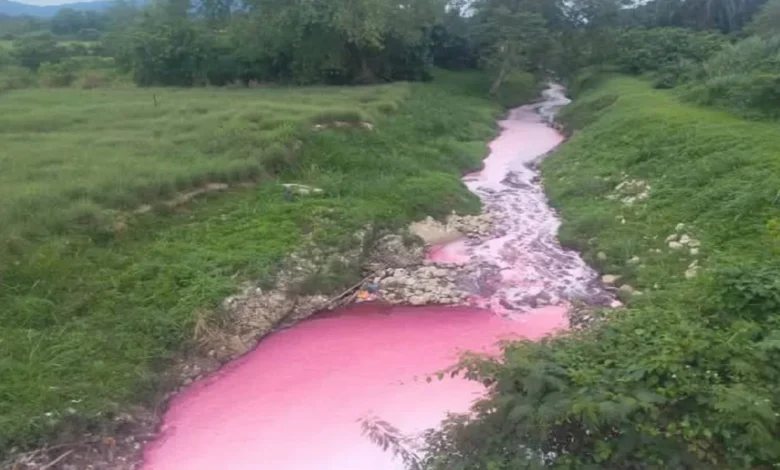 Air Sungai Kabul bertukar jadi merah jambu