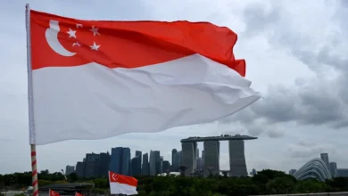 Singapura kaji kaji potensi guna tenaga nuklear dalam Belanjawan 2025