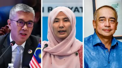 Kian Ming moots Zafrul, Nurul Izzah, Nazir Razak for US envoy post