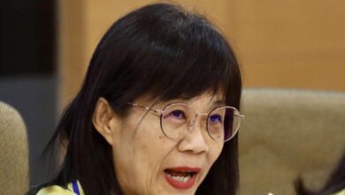 You still need to pass your SPM, MCA Wanita chief tells youths hoping to get jobs in Singapore