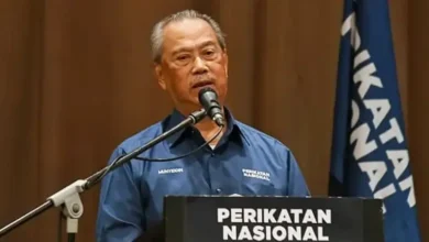 PN will do a better job than unity govt, says Muhyiddin