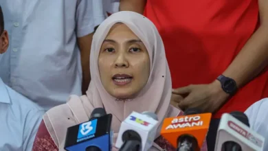 ‘Count me in’: Nurul Izzah to go for PKR veep’s post