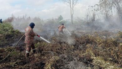 94 hektar hutan gambut di Pekan terbakar