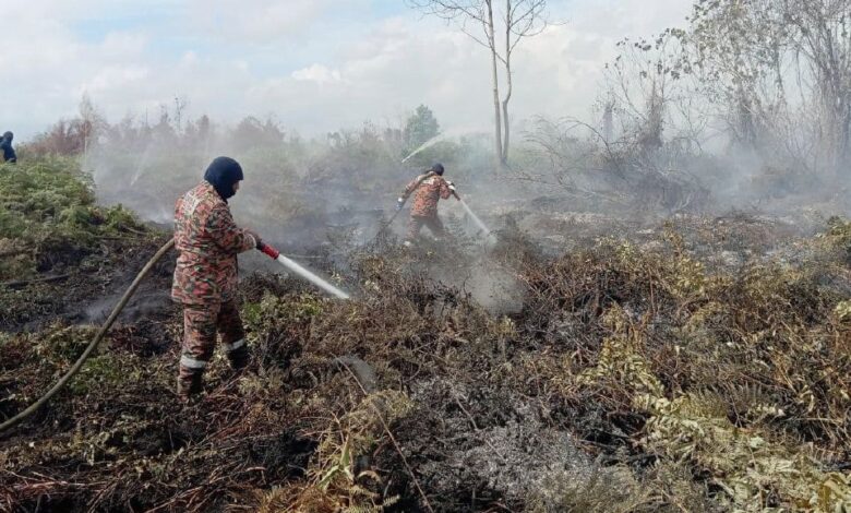 94 hektar hutan gambut di Pekan terbakar