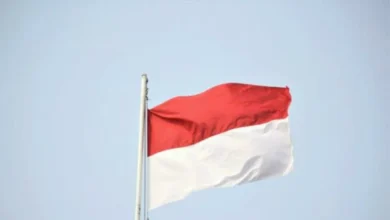 Indonesia turunkan 1.3 Juta kandungan berbahaya, sasar pornografi dan perjudian