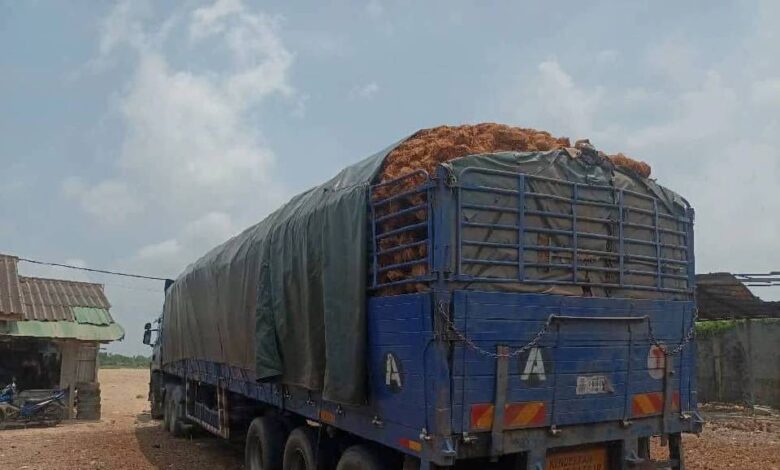 PGA patahkan cubaan seludup hampir 40,000 biji kelapa ke Thailand