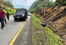 Lelaki maut, motosikal ditunggang bertembung lori