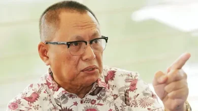 Umno doesn’t need populists like Khairy, says Puad