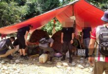 Dua warga Indonesia ditahan disyaki melombong emas secara haram di Jeli