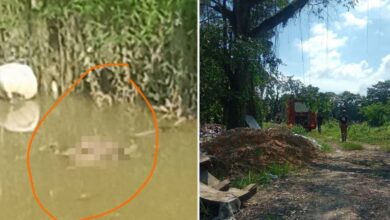 Polis sedang kenal pasti identiti mayat kanak-kanak ditemui di Sungai Skudai