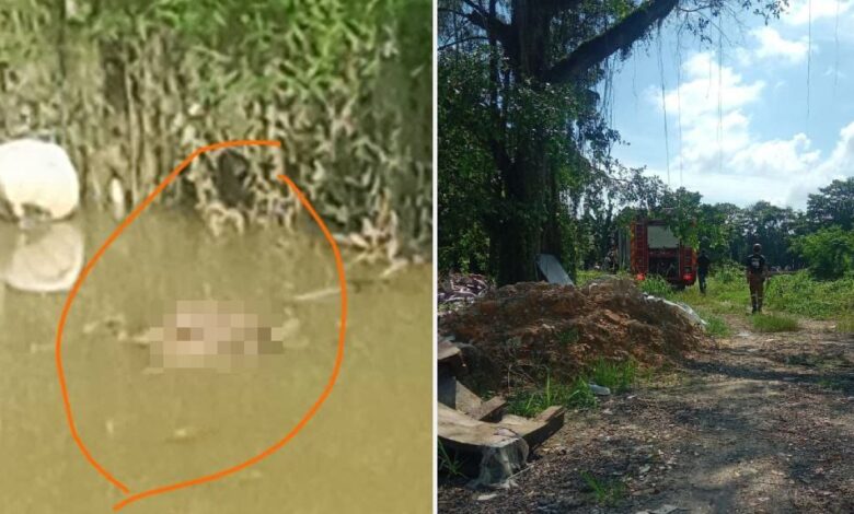 Polis sedang kenal pasti identiti mayat kanak-kanak ditemui di Sungai Skudai