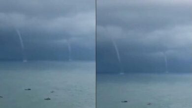 2 belalai air muncul serentak