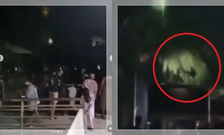 Kecoh hantu penanggal bertenggek di atas pokok
