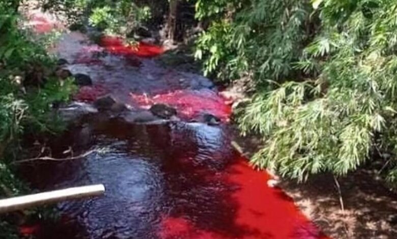 Penduduk gempar air sungai bertukar merah darah