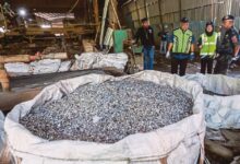 Lebih 2,000 tan e-waste bernilai RM11.6 juta disita dalam Ops Hazard